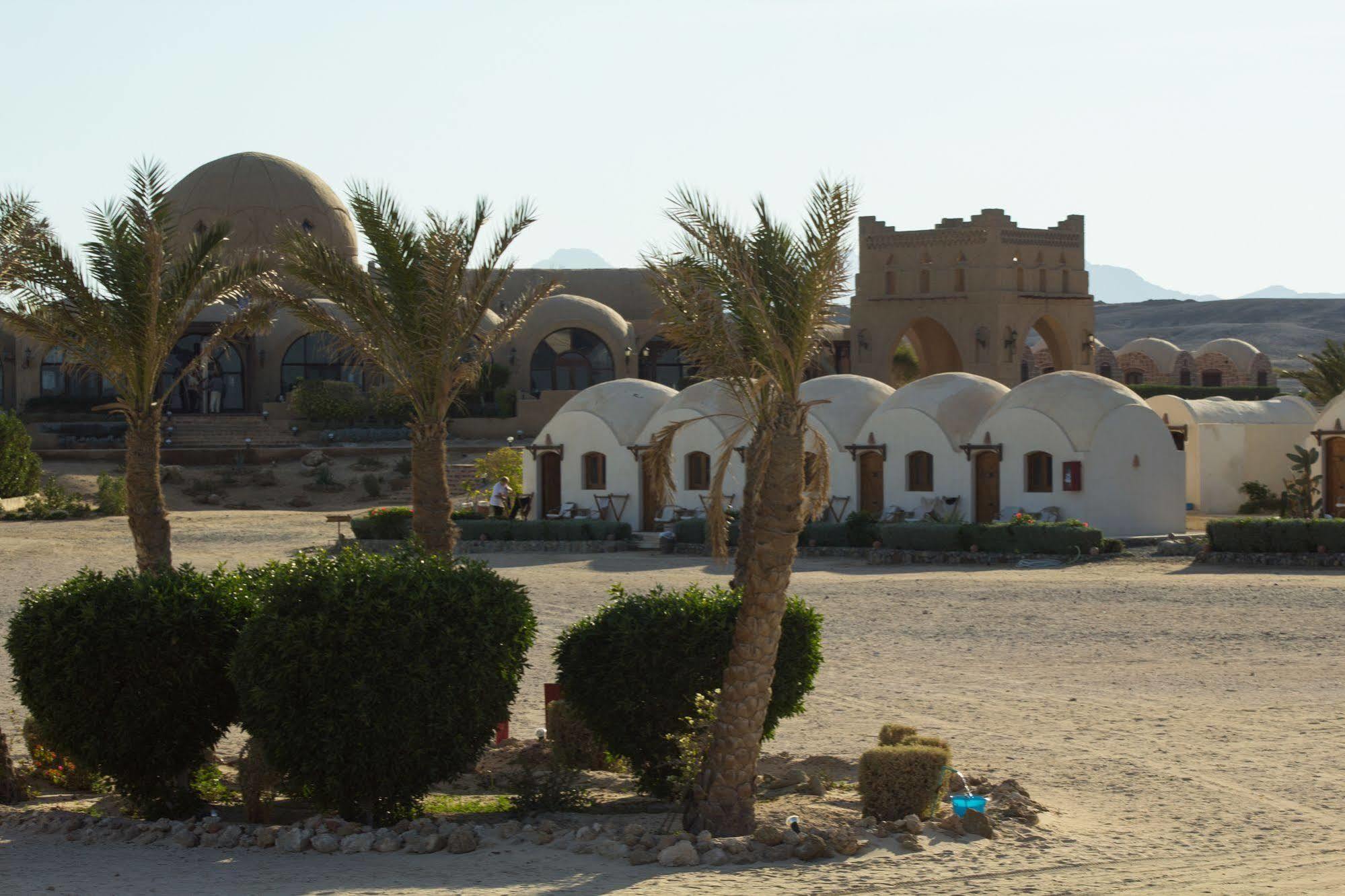 Marsa Shagra Village Марса-Алам Экстерьер фото